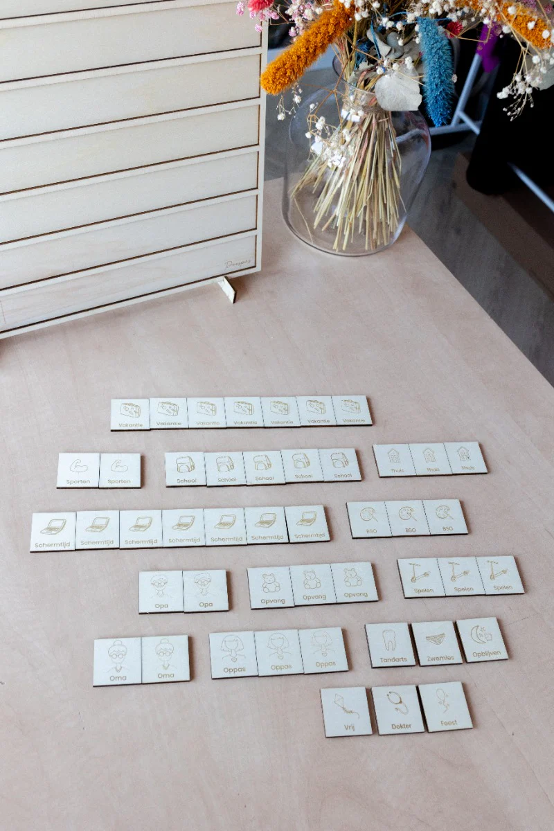 Miniatuur 3